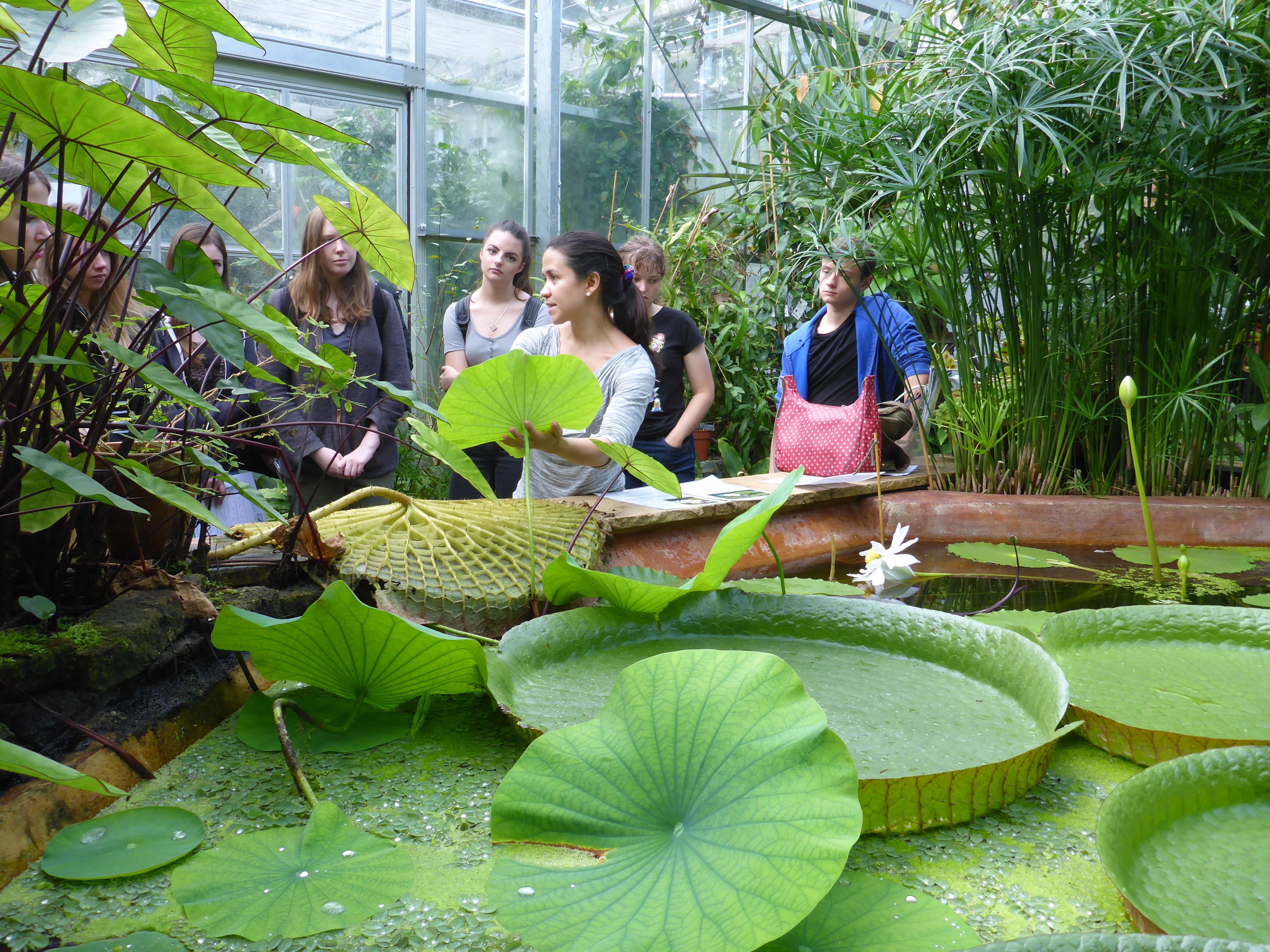 A pond with a lily pad in the foreground. Staff and students are further back in the image and they are discussing what is in front of them.